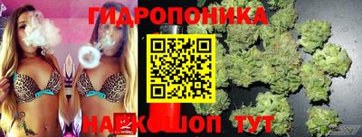 МДПВ Кимры