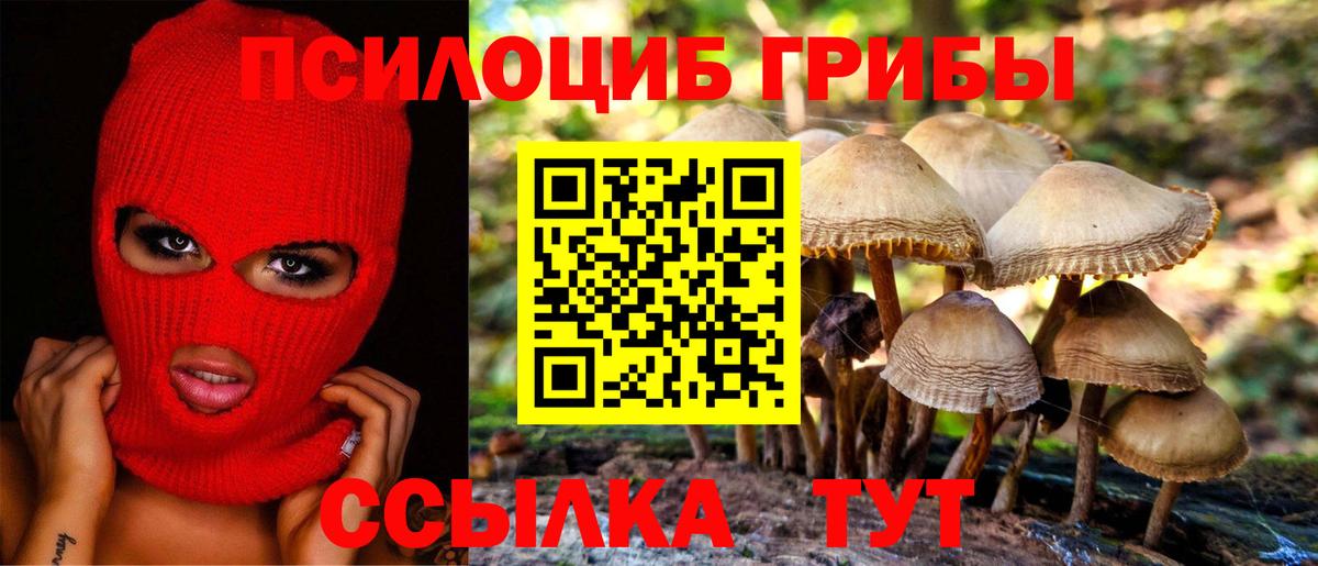 Галлюциногенные грибы Magic Shrooms  Вход с VPN  Кропоткин 