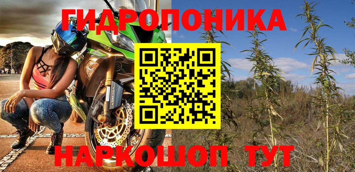 Шишки марихуана конопля Кропоткин